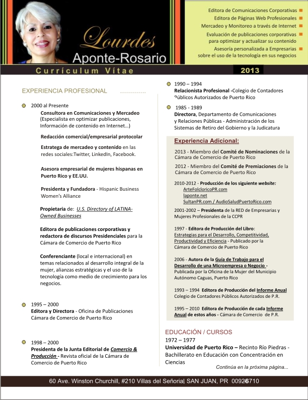 Consultora Lourdes Aponte Rosario Curriculum Vitae En Pdf